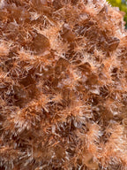 Red Selenite ‘Gypsum’ Specimen - Port Hedland