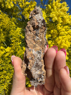 Clear Hemimorphite Cluster - Durango Mexico