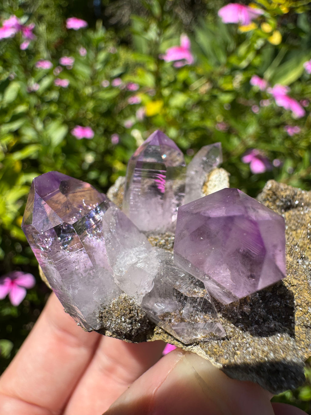 Vera Cruz Amethyst Specimen