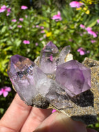 Vera Cruz Amethyst Specimen
