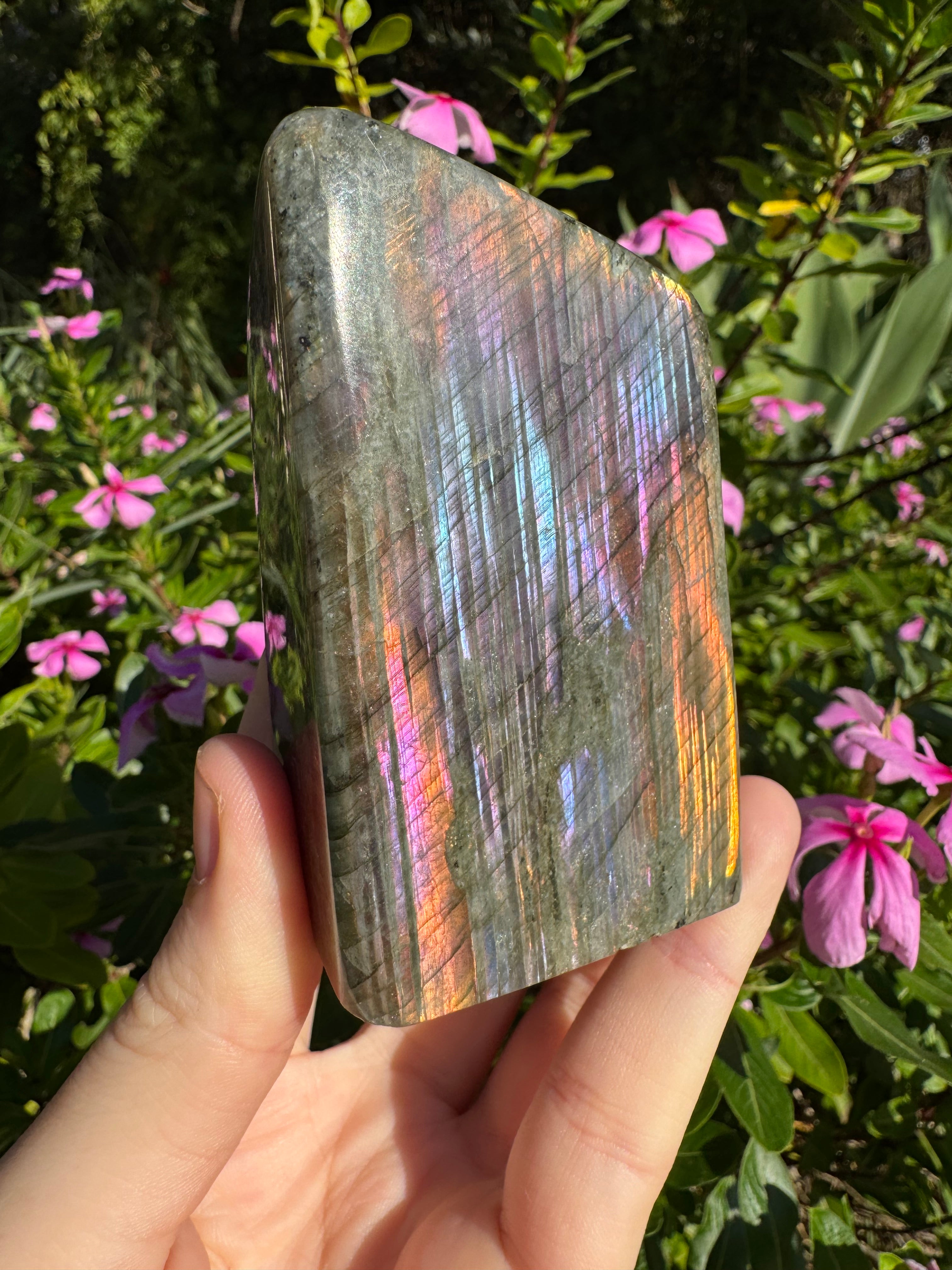 Labradorite Standing Freeform
