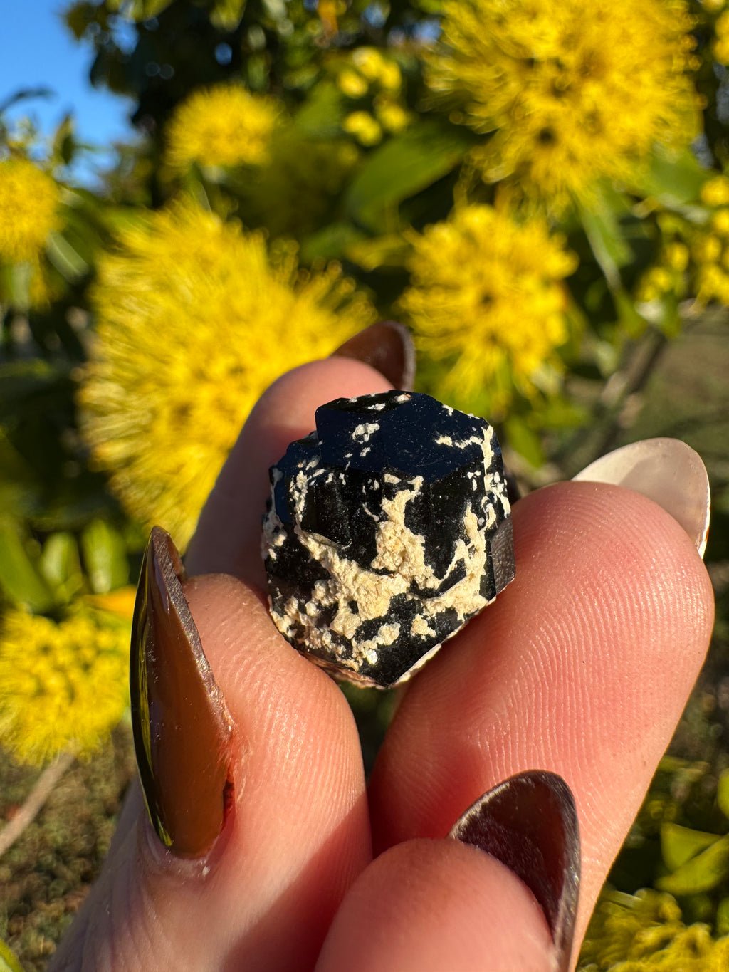 Black Tourmaline With Feldspar Specimen
