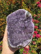 Amethyst Druzy Standing Geode  – 1.685kg
