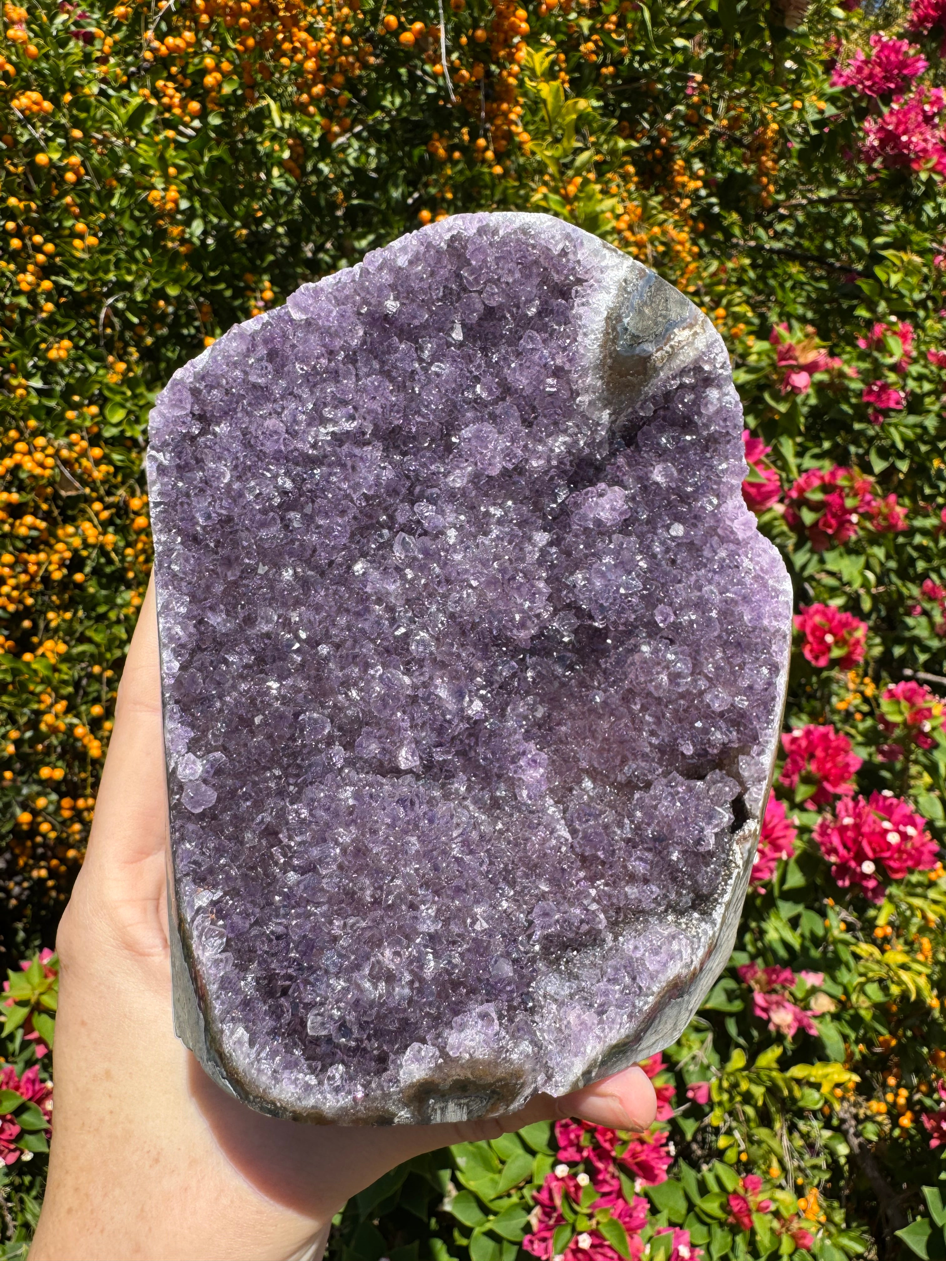 Amethyst Druzy Standing Geode  – 1.685kg