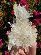 Lemurian ‘Mango’ Quartz Cluster