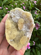Yellow Fluorite Botryoidal Specimen