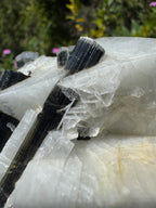 Black Tourmaline in Quartz Specimen