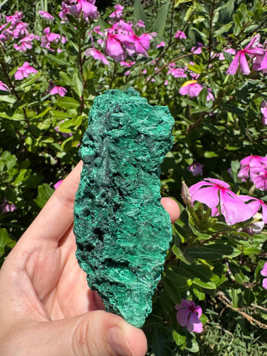 Malachite ‘Fibrous’ Specimen