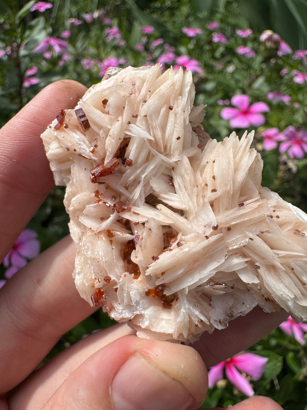 Vanadinite on Barite Specimen
