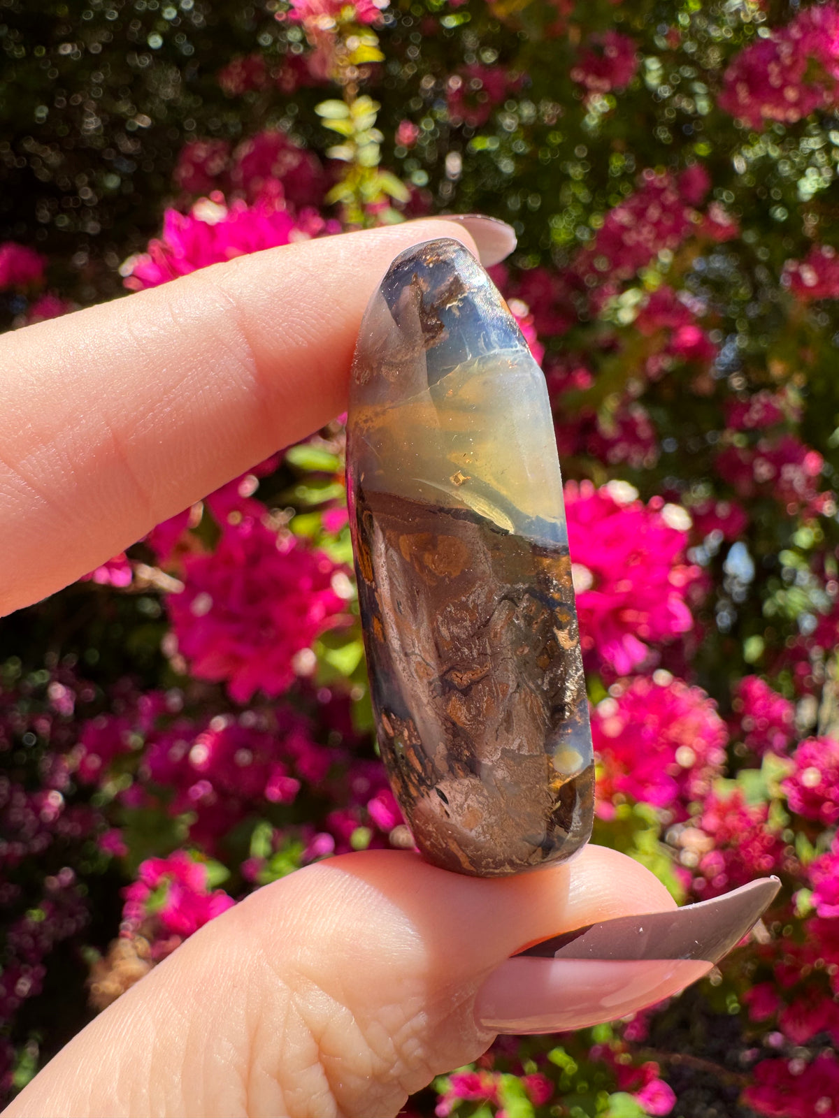 Polished Boulder Opal | Karoit