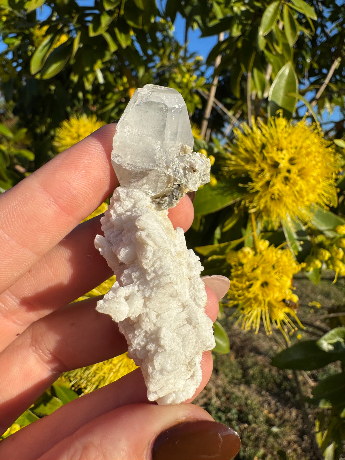 Imperial Topaz Natural Specimen - Katlang