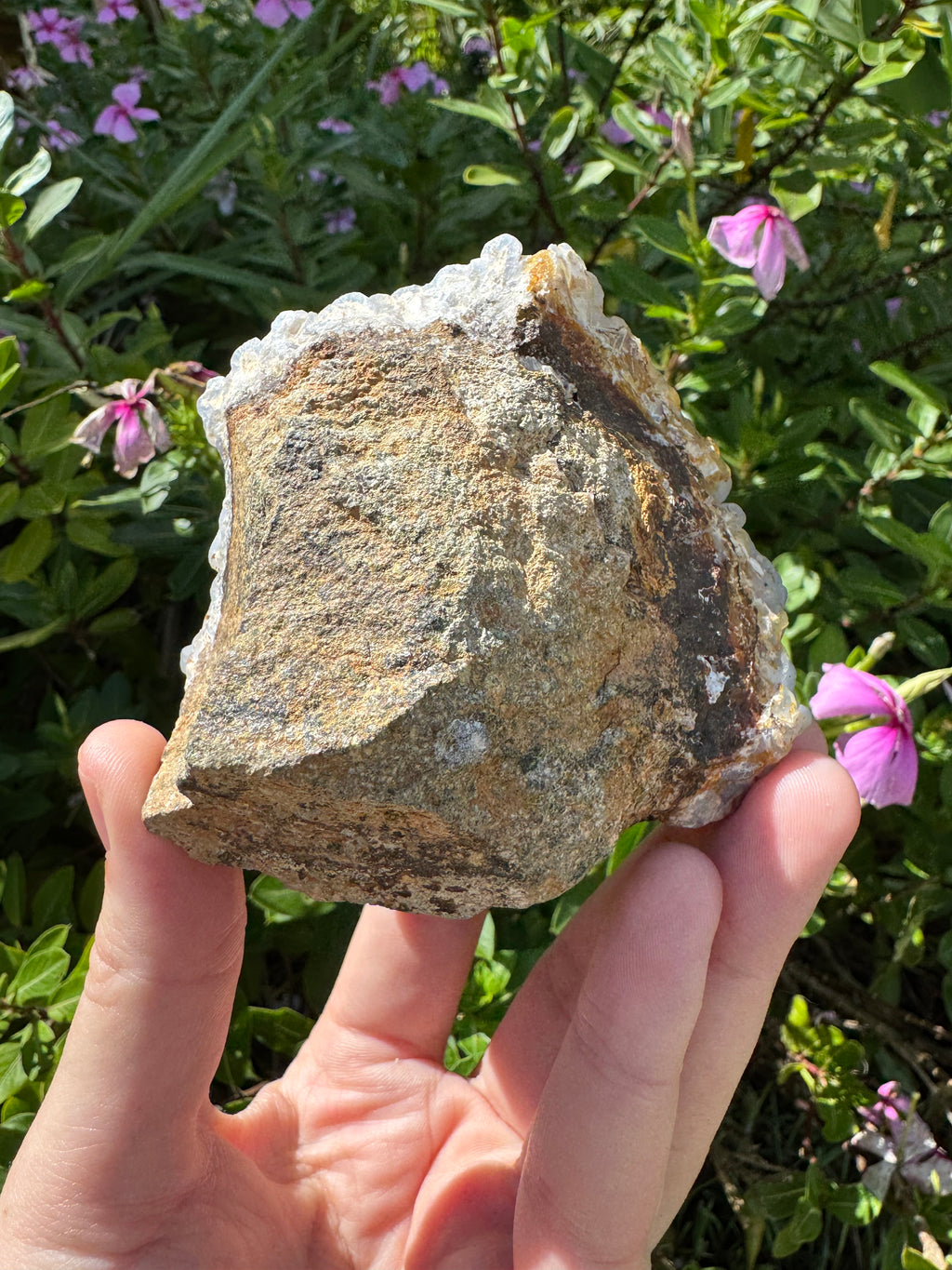 Angelite ‘Botryoidal’ Cluster Specimen
