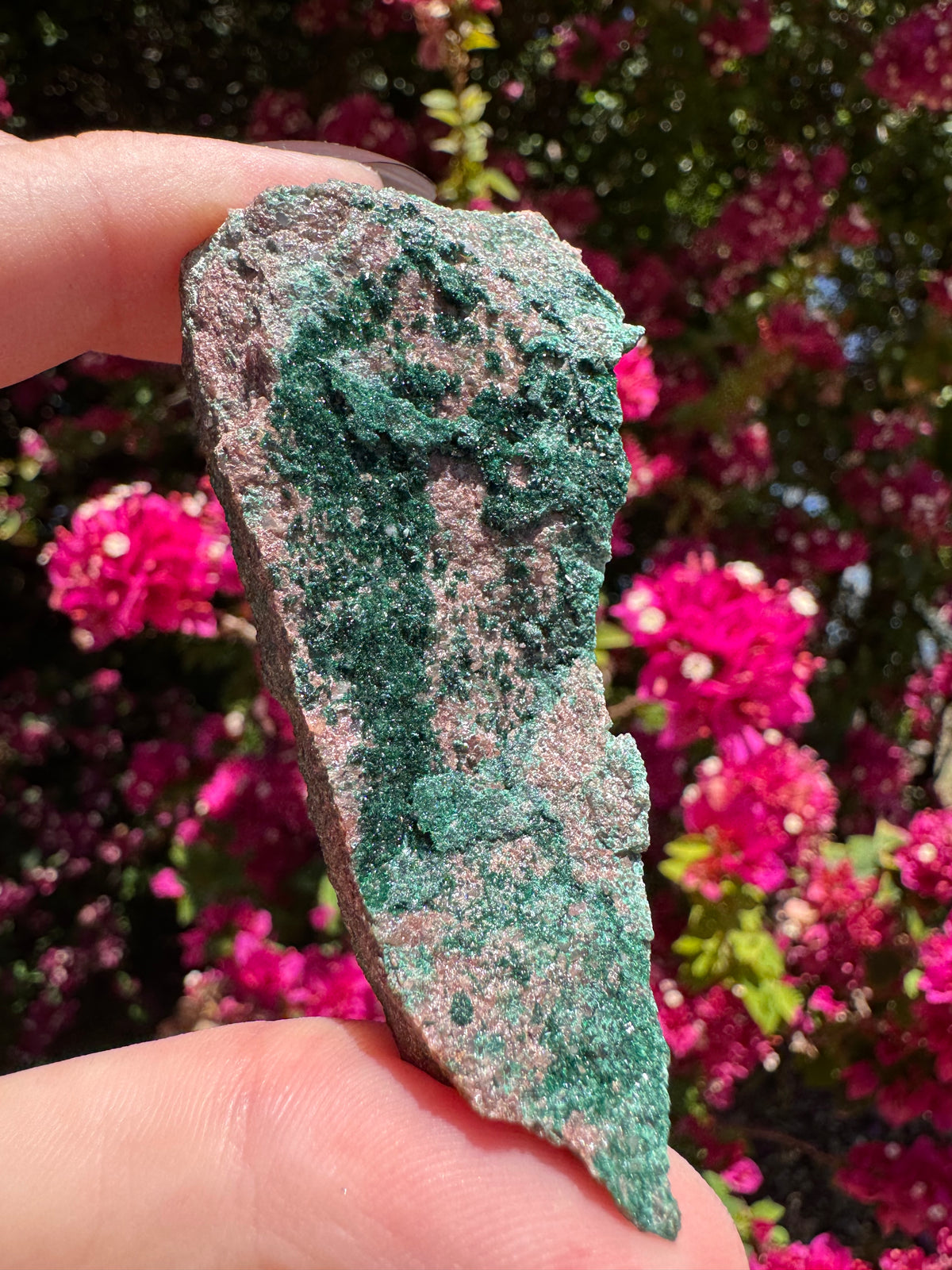 Atacamite Specimen | South Australia