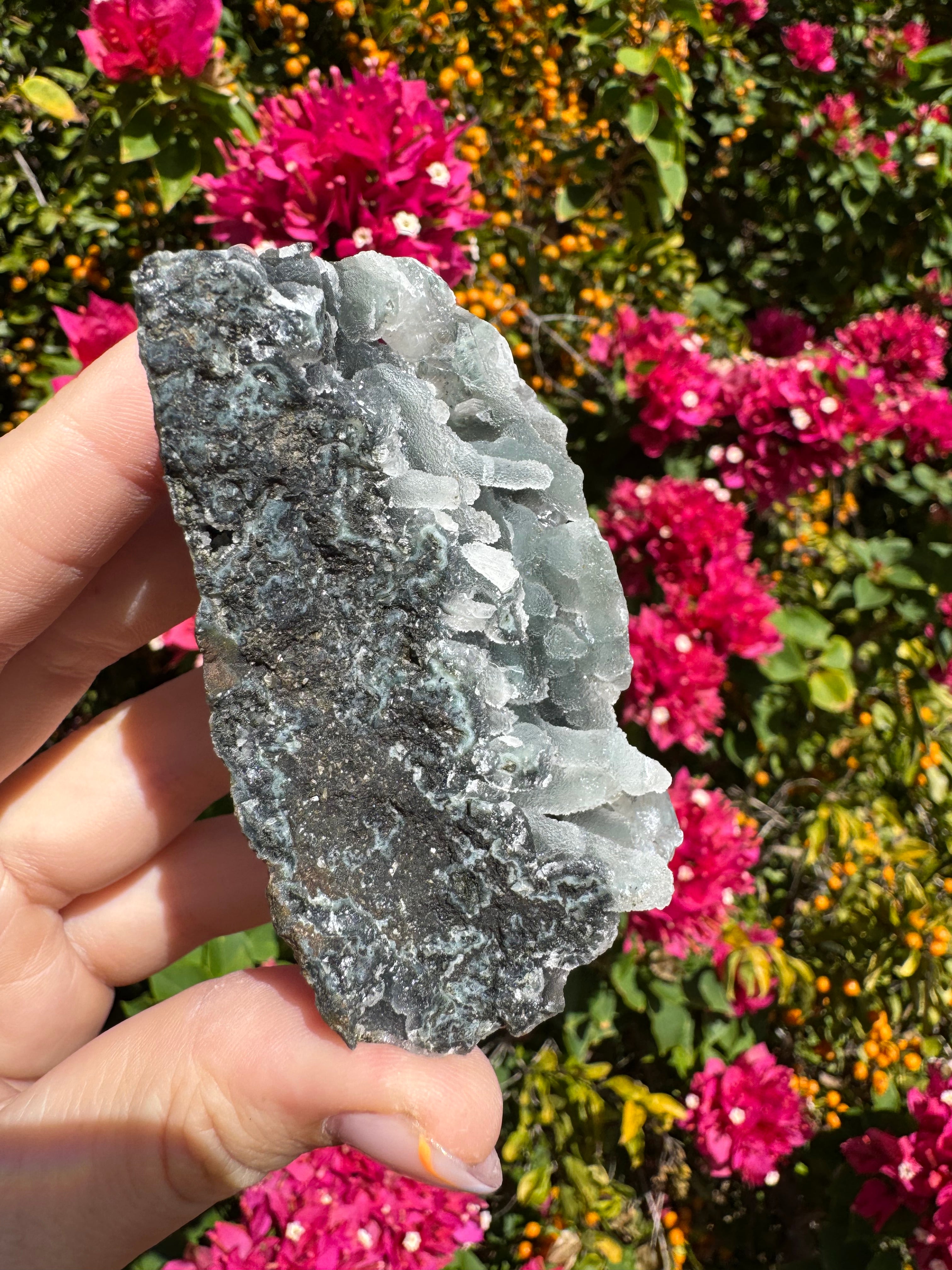 Black Chalcedony Stalactites with Apophyllite Specimen