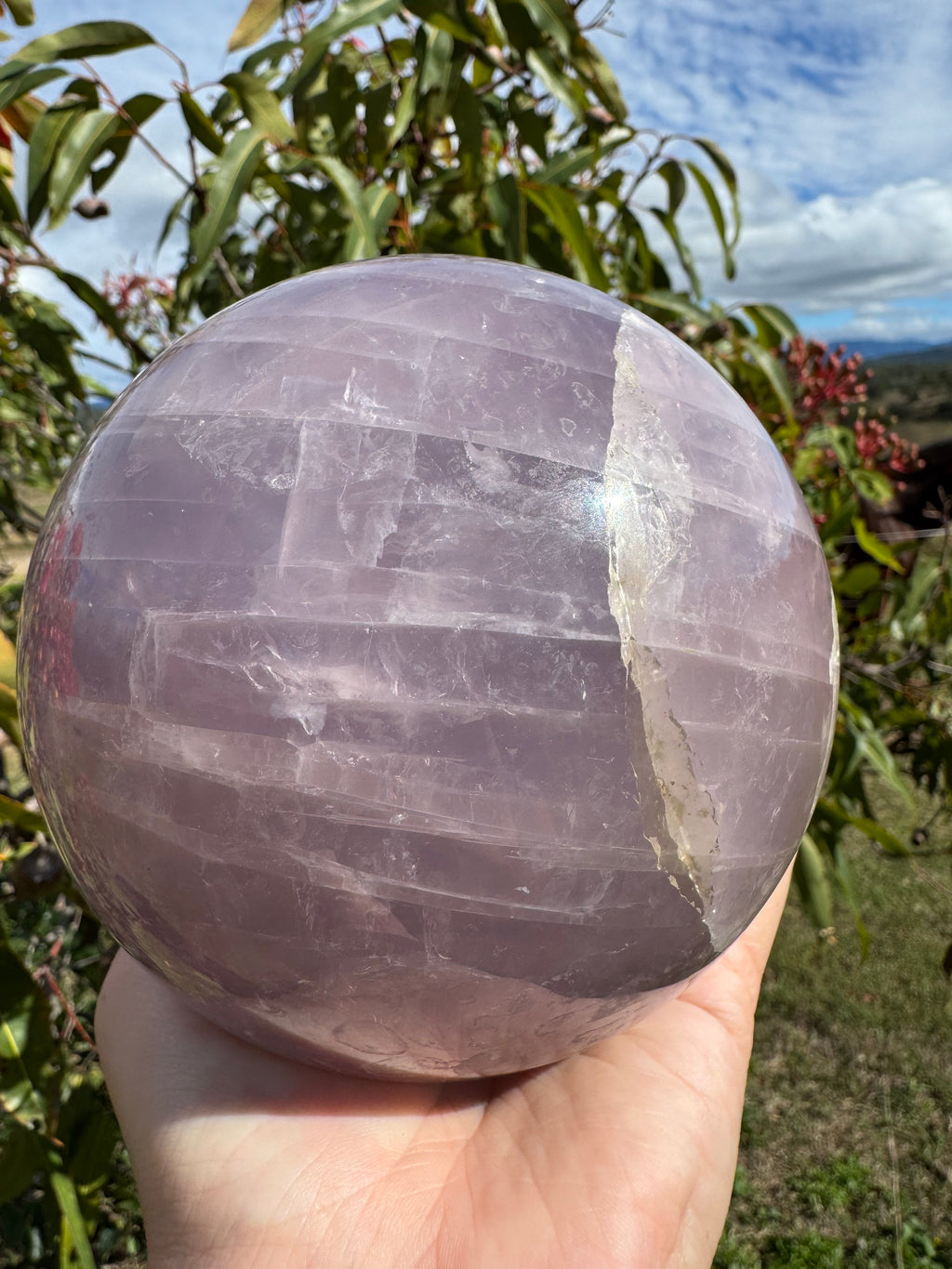 Lavender Rose Quartz Asterism Sphere - Statement 2.9kg