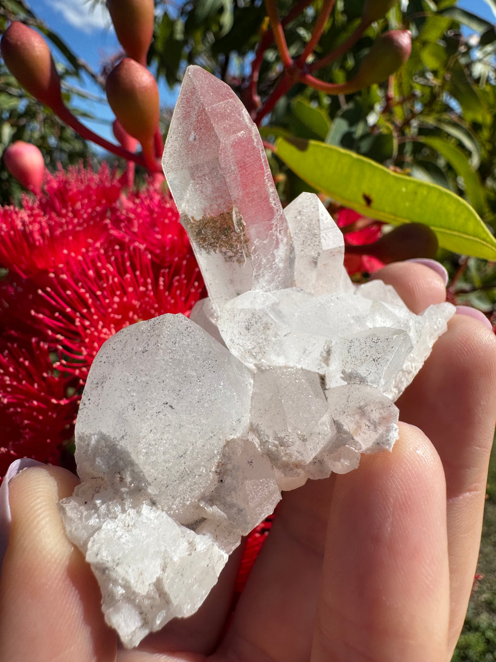 Himalayan Quartz Cluster