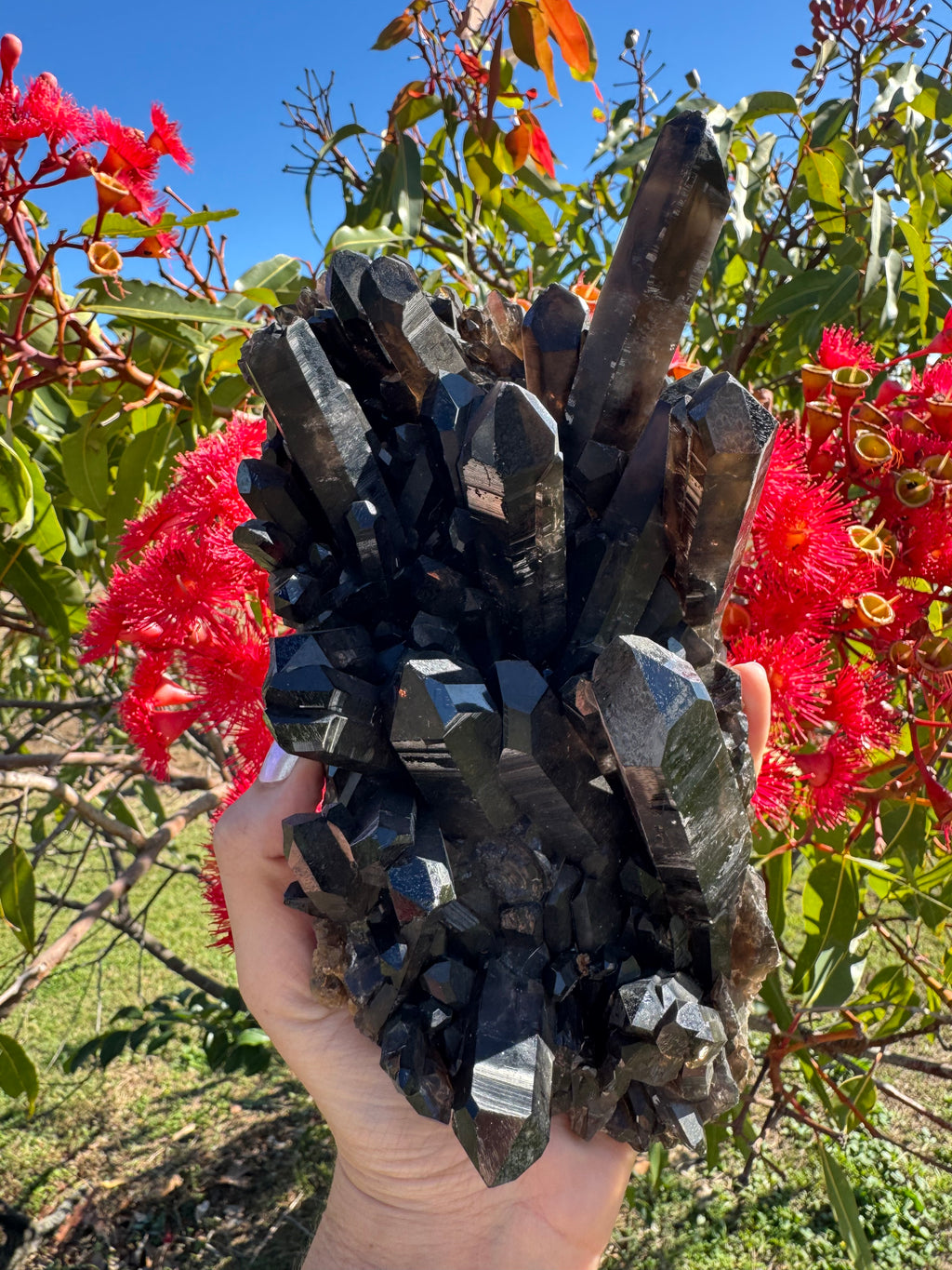 Deep Black Smoky Quartz Cluster - 2.049kg