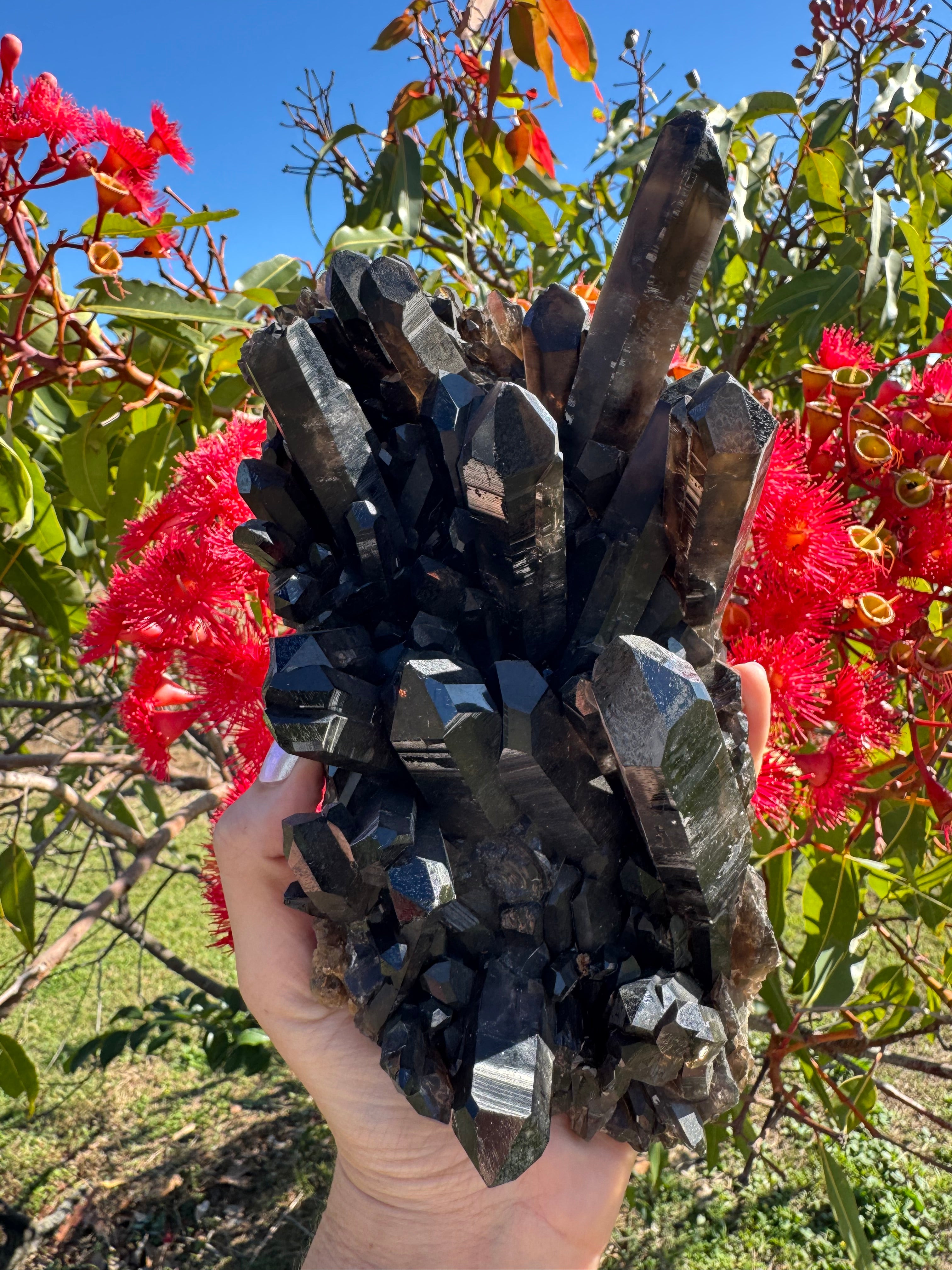 Deep Black Smoky Quartz Cluster - 2.049kg