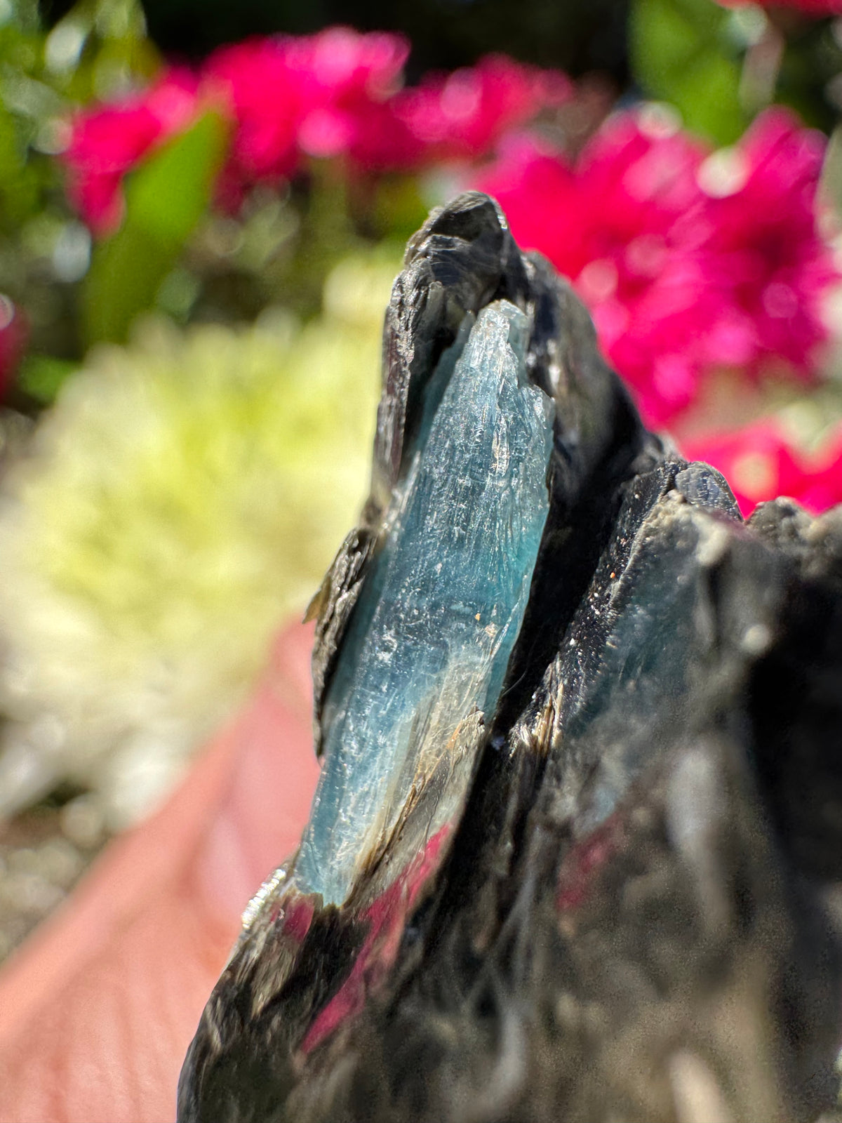 Ocean Kyanite Specimen – Mount Riddock