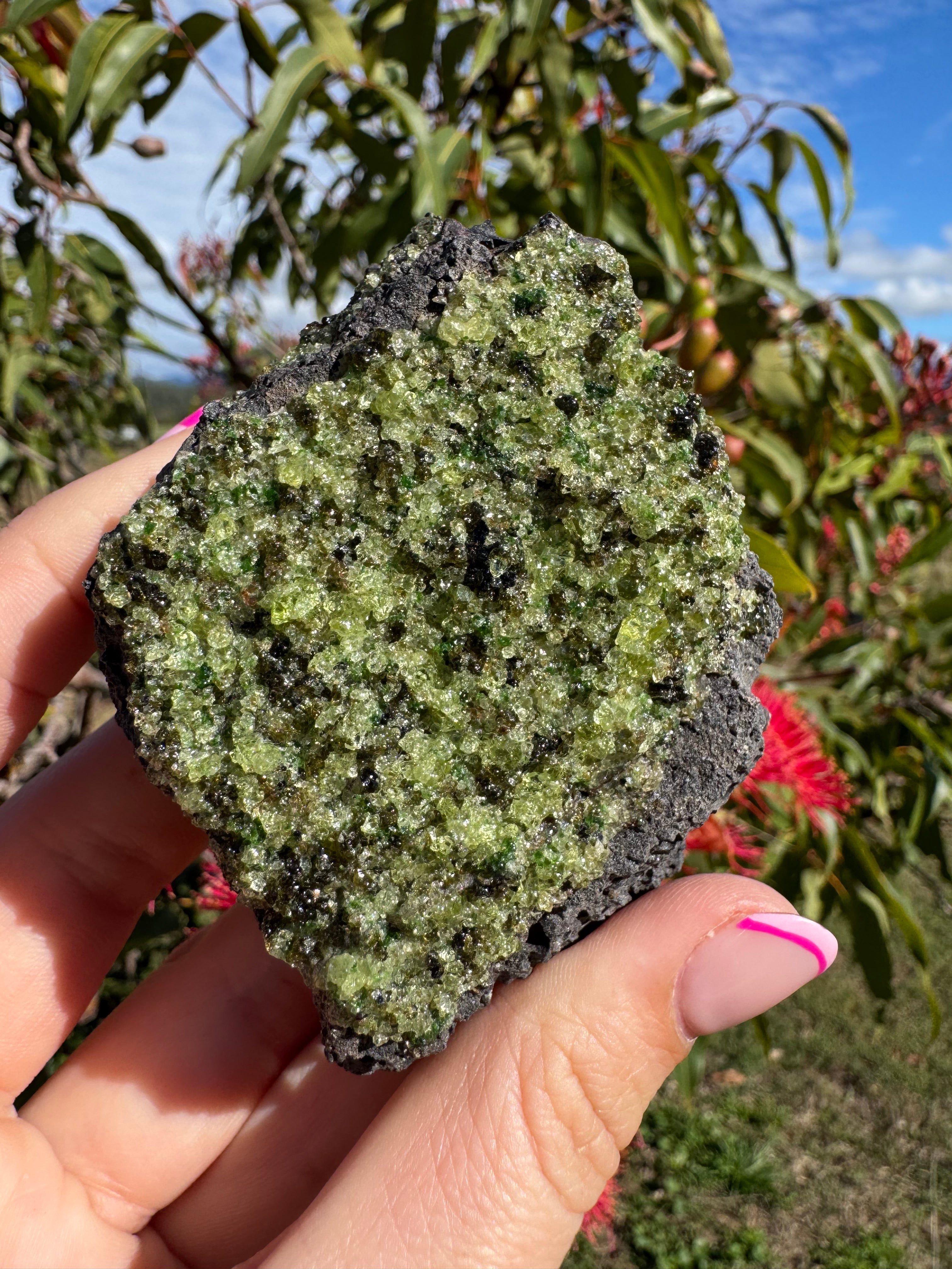 Peridot and Black Spinel On Matrix Specimen