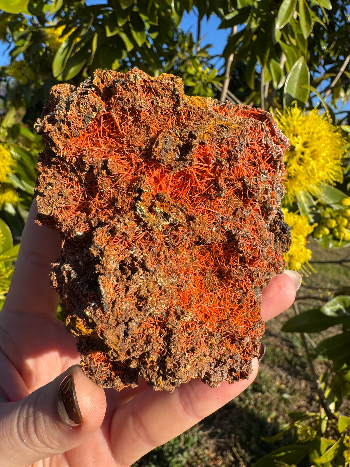 Crocoite Specimen | Tasmania