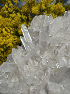 Clear Quartz Cluster