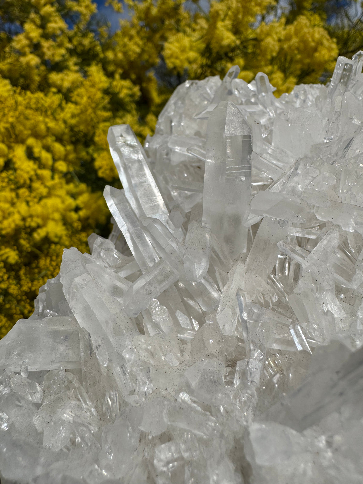 Clear Quartz Cluster