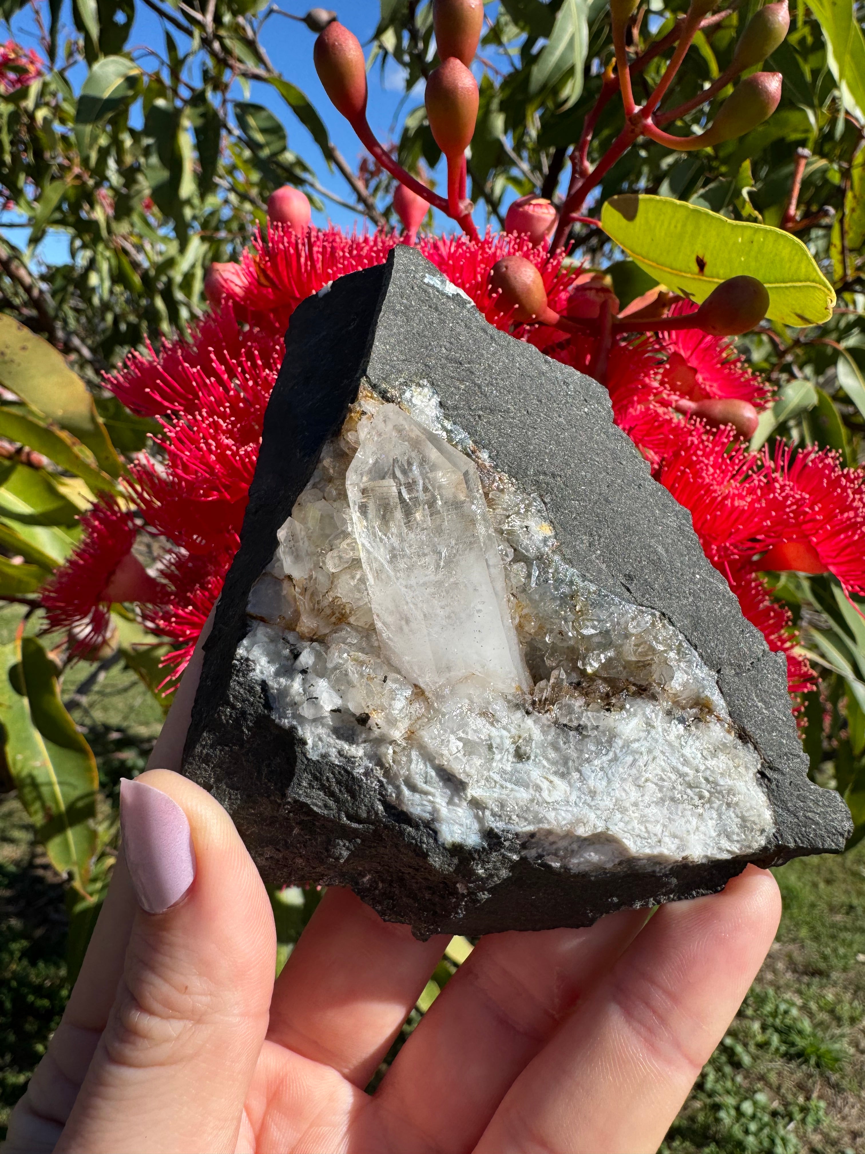 Amethyst Point in Basalt Matrix - Brandberg