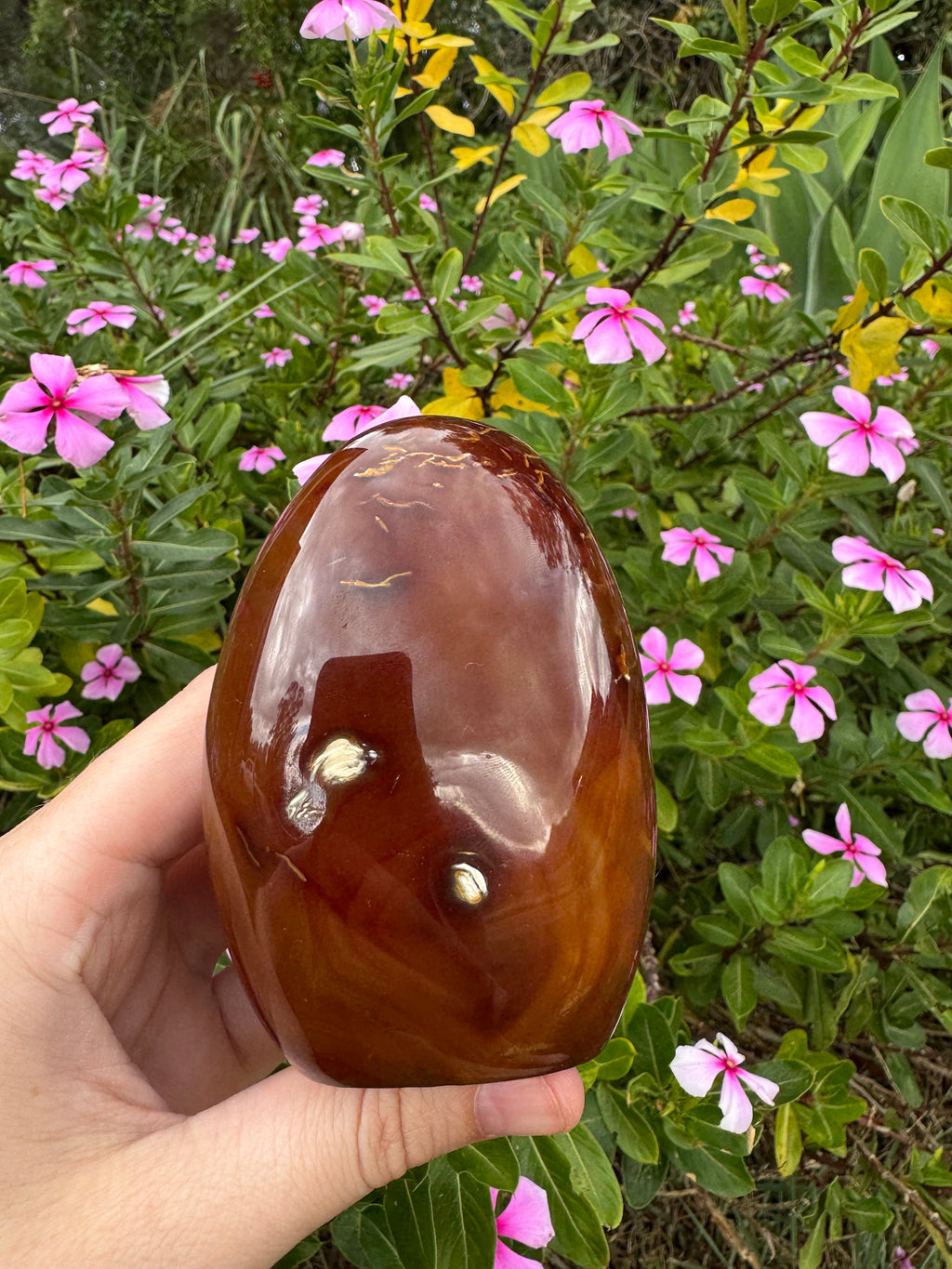Carnelian Freeform - Natural Carved Inclusion