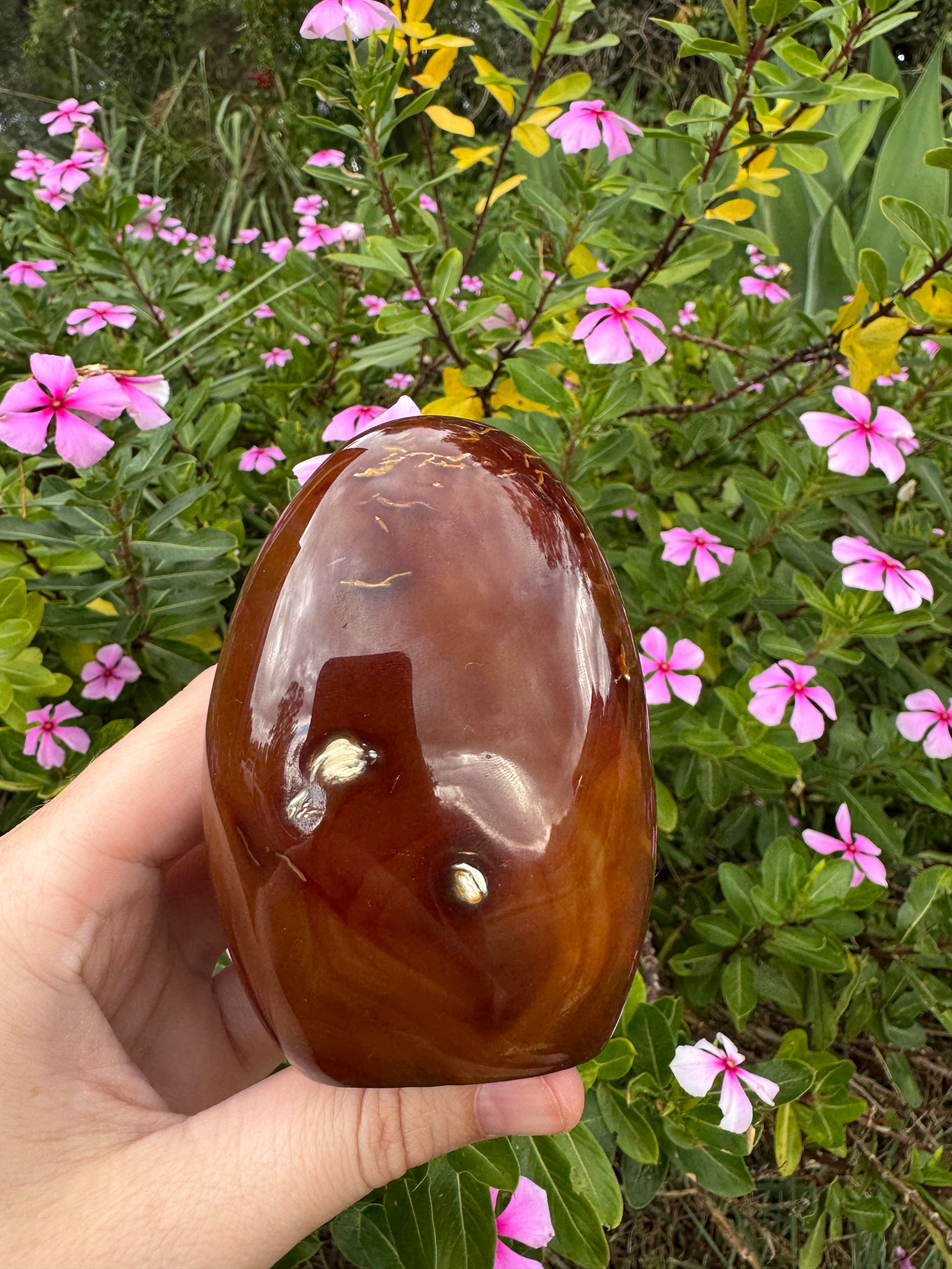 Carnelian Freeform - Natural Carved Inclusion