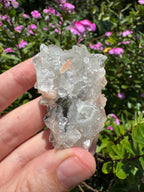 Glass Apophyllite With Stilbite Cluster - High Quality