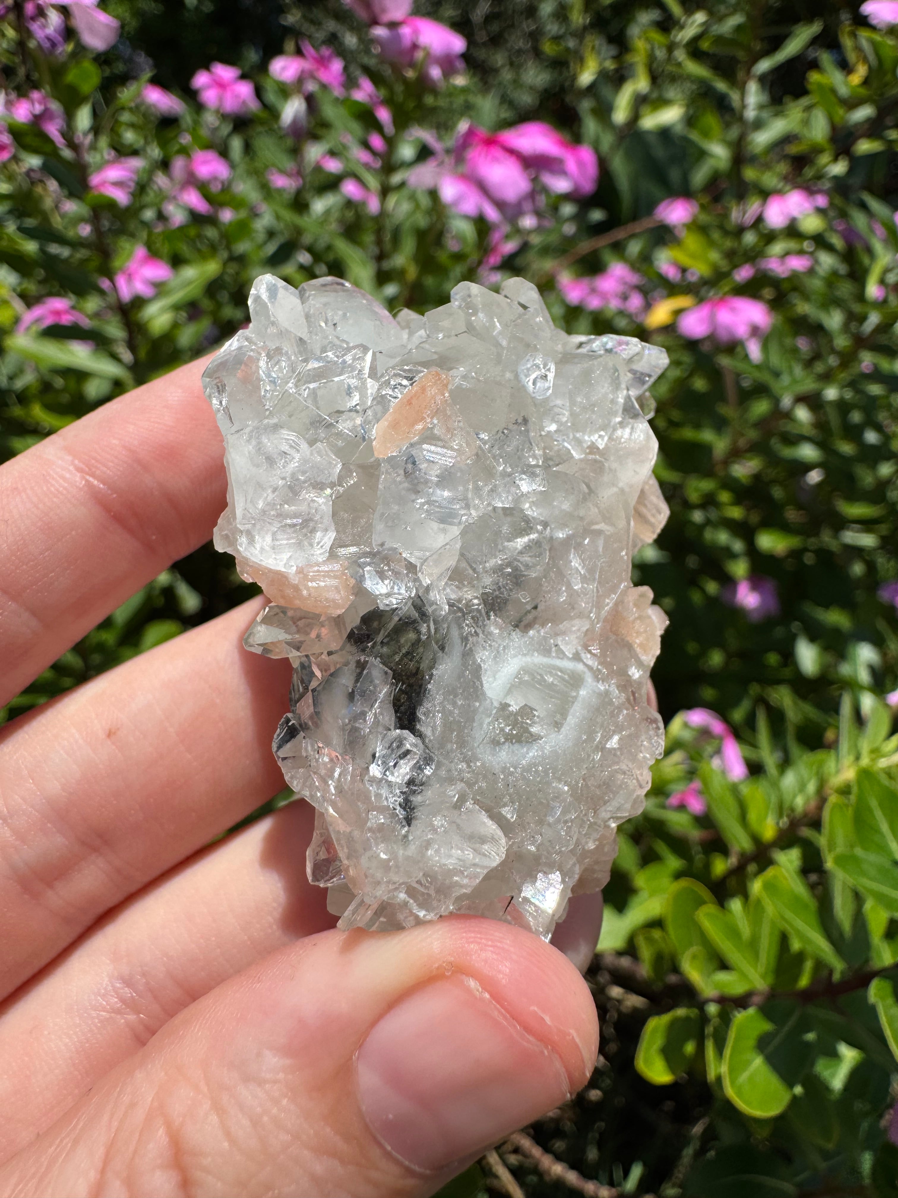Glass Apophyllite With Stilbite Cluster - High Quality
