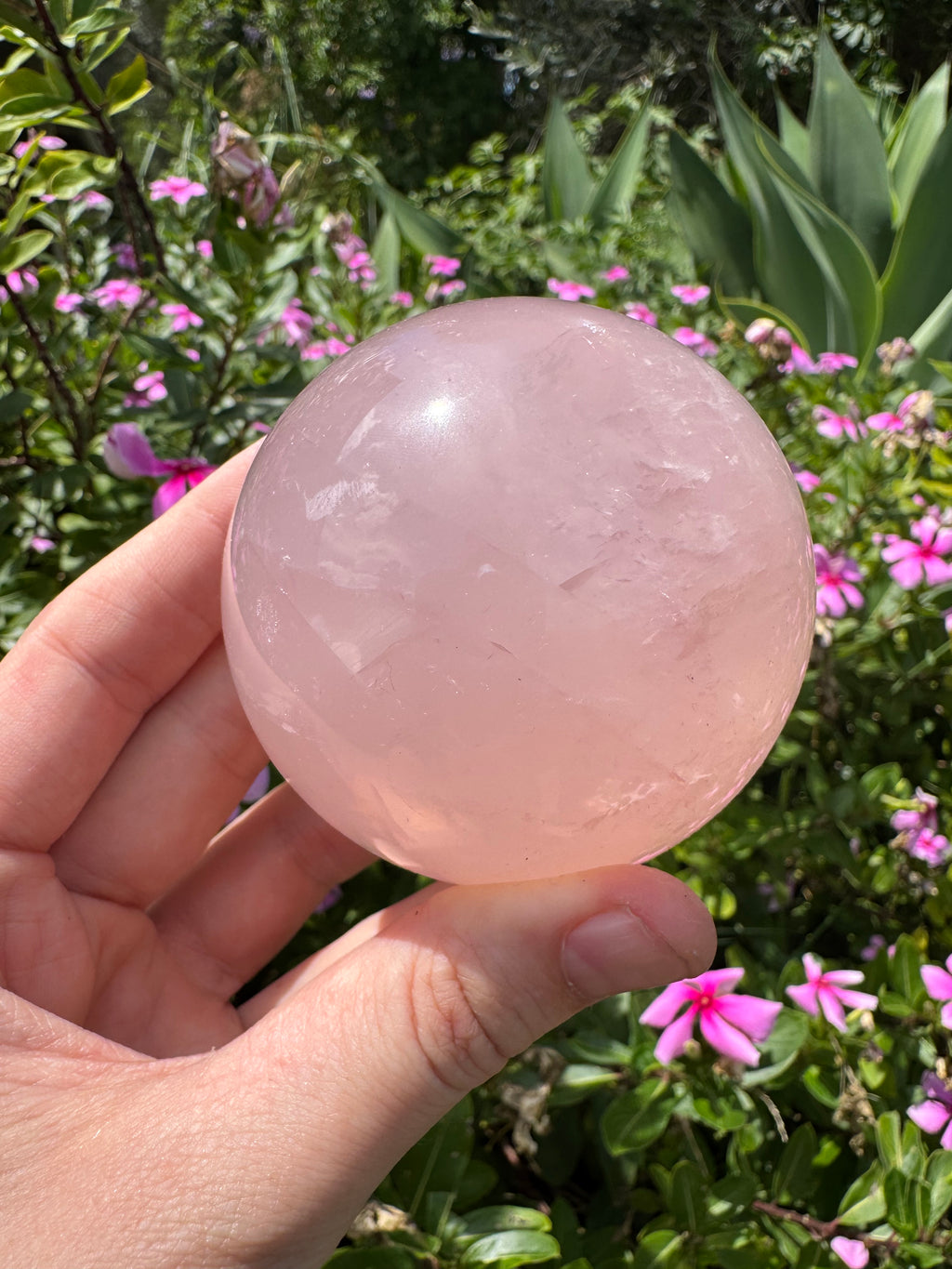 Rose Quartz Sphere with Asterism