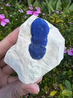 Azurite Sun on Kaolinite Matrix Specimen