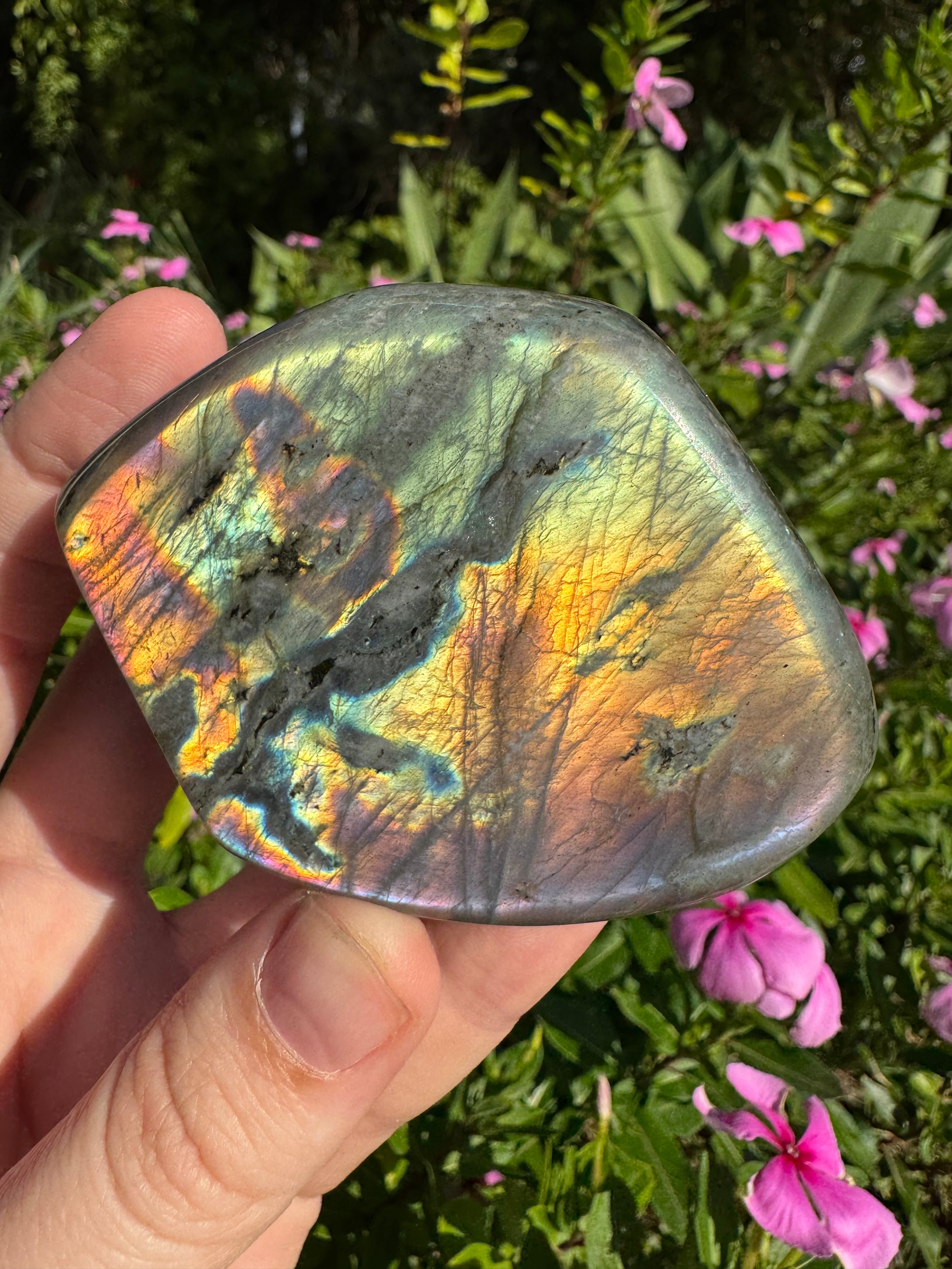 Labradorite Standing Freeform
