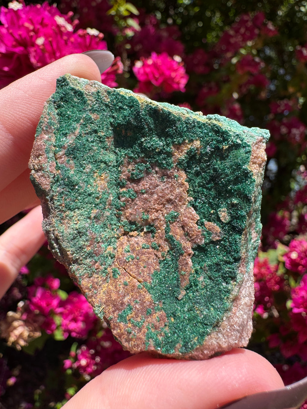 Atacamite Specimen | South Australia