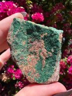 Atacamite Specimen | South Australia