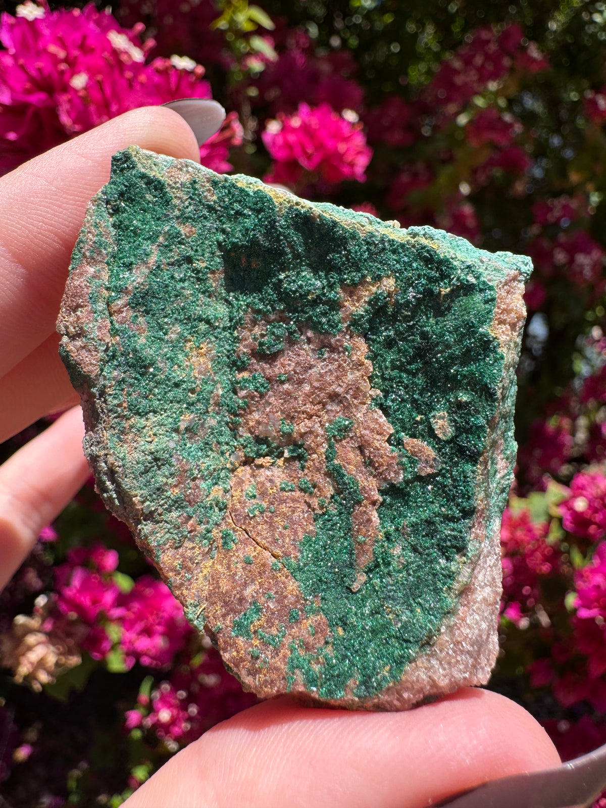 Atacamite Specimen | South Australia