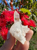 Himalayan Quartz Cluster
