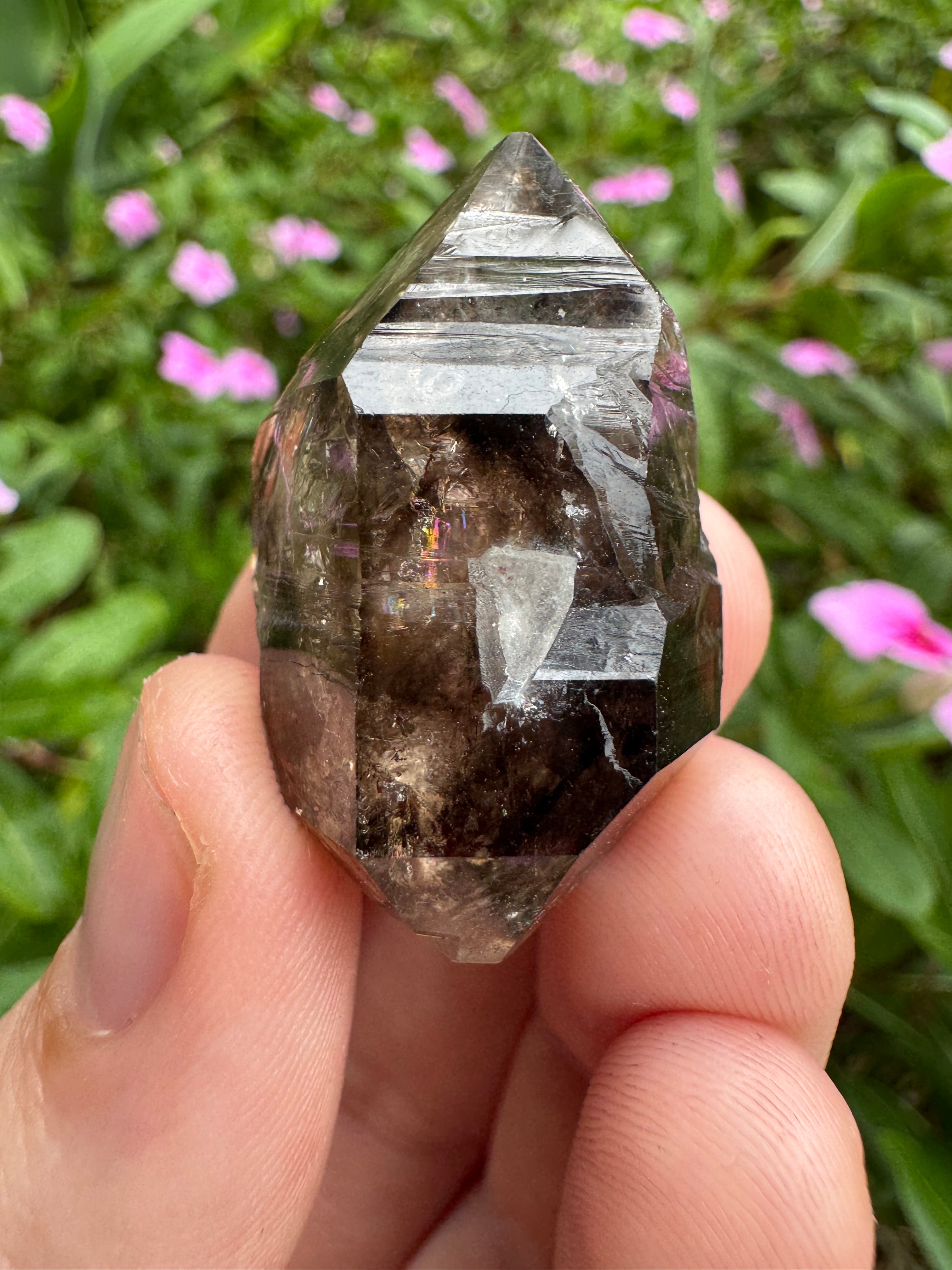 Mooralla Smoky Quartz Cluster
