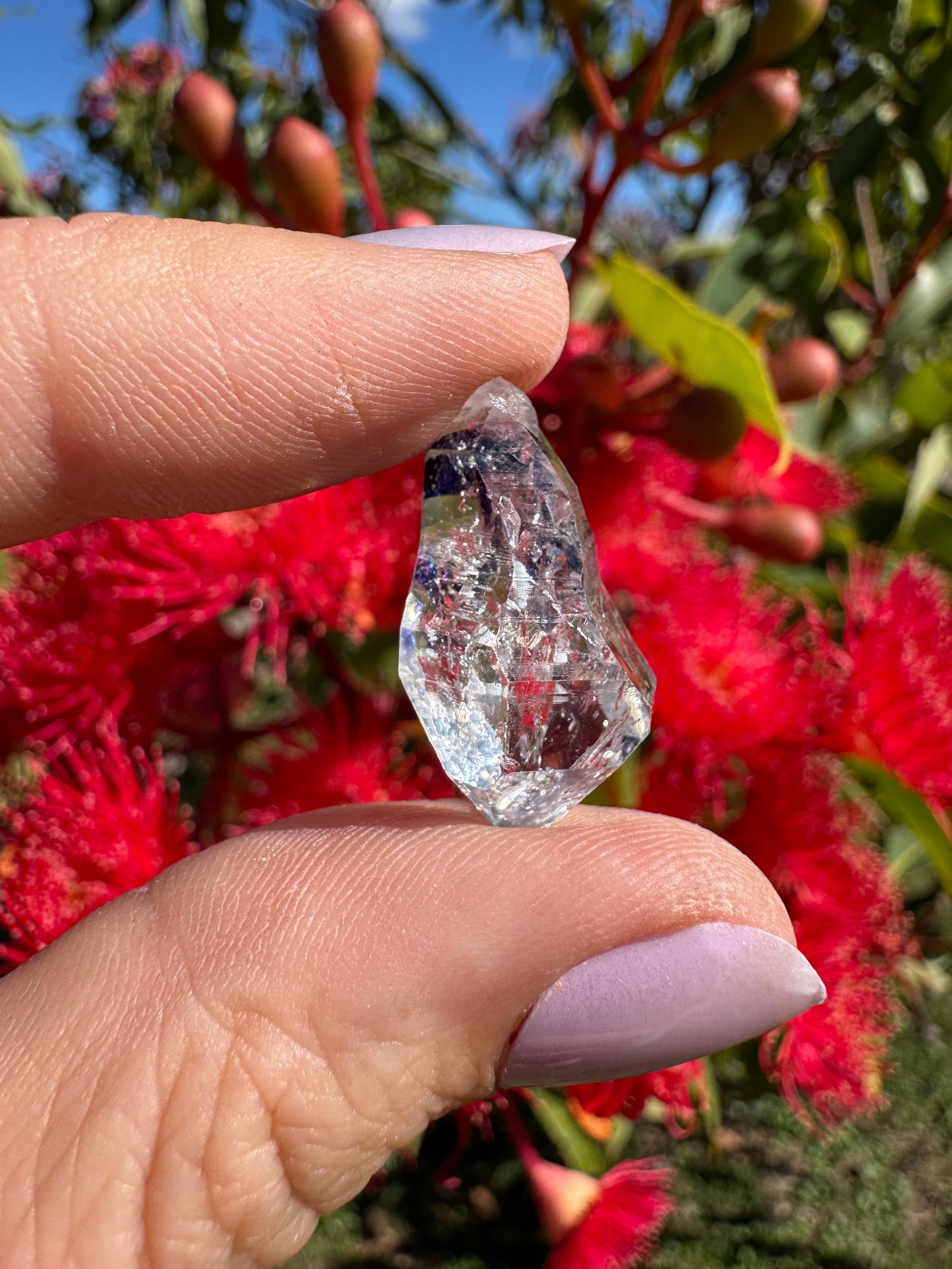 Herkimer Diamond Natural Specimen - Enhydro