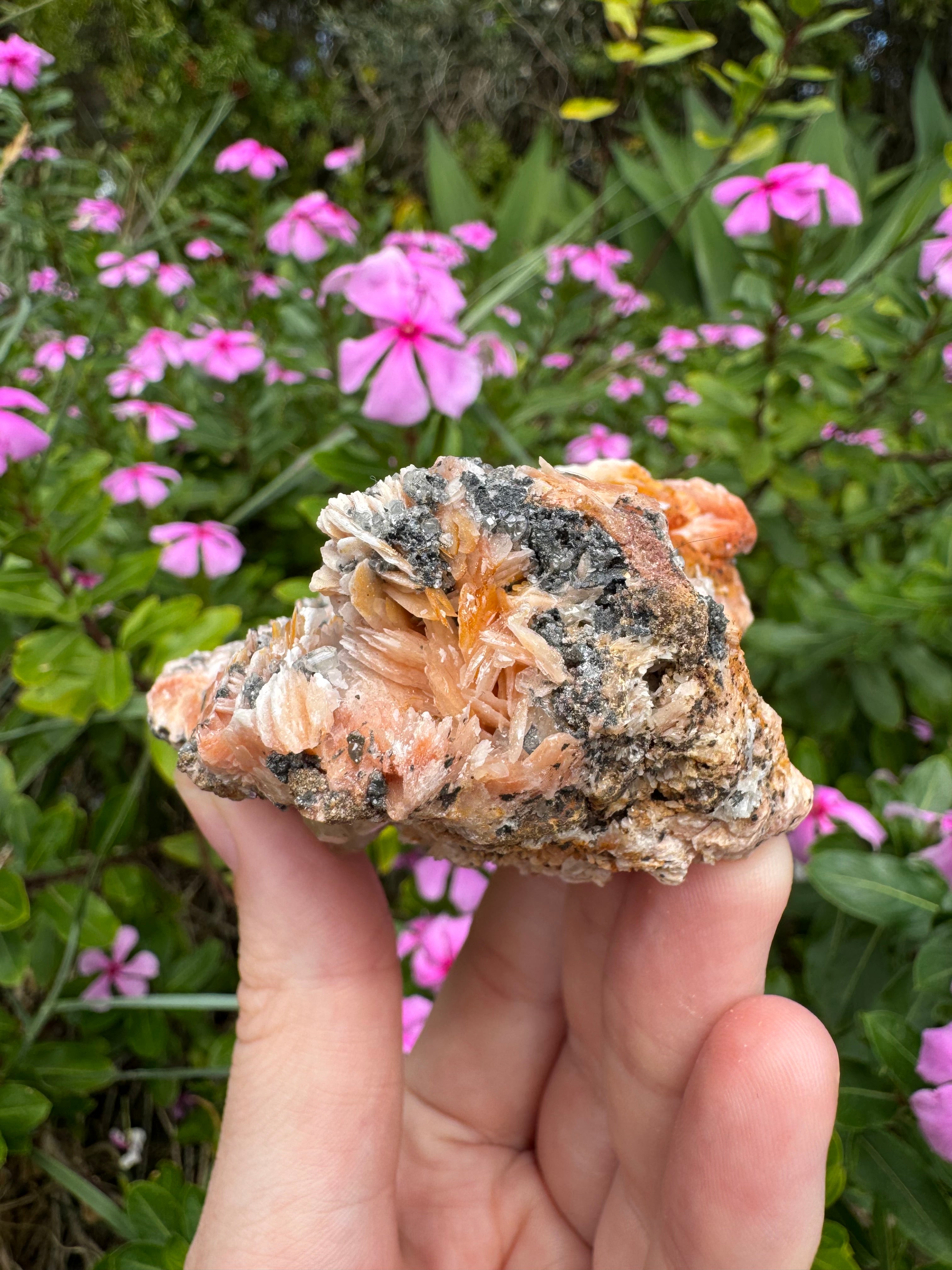 Cerussite on Barite Cluster Specimen
