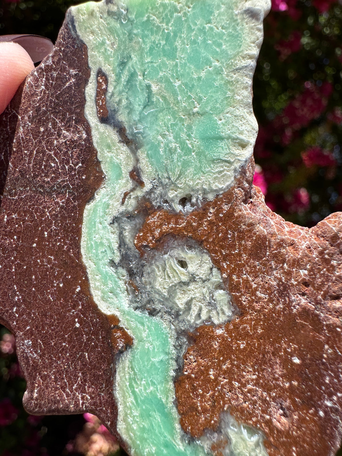 Green Chrysoprase Slice | Yerilla