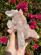 Pink Himalayan Samadhi Quartz Cluster