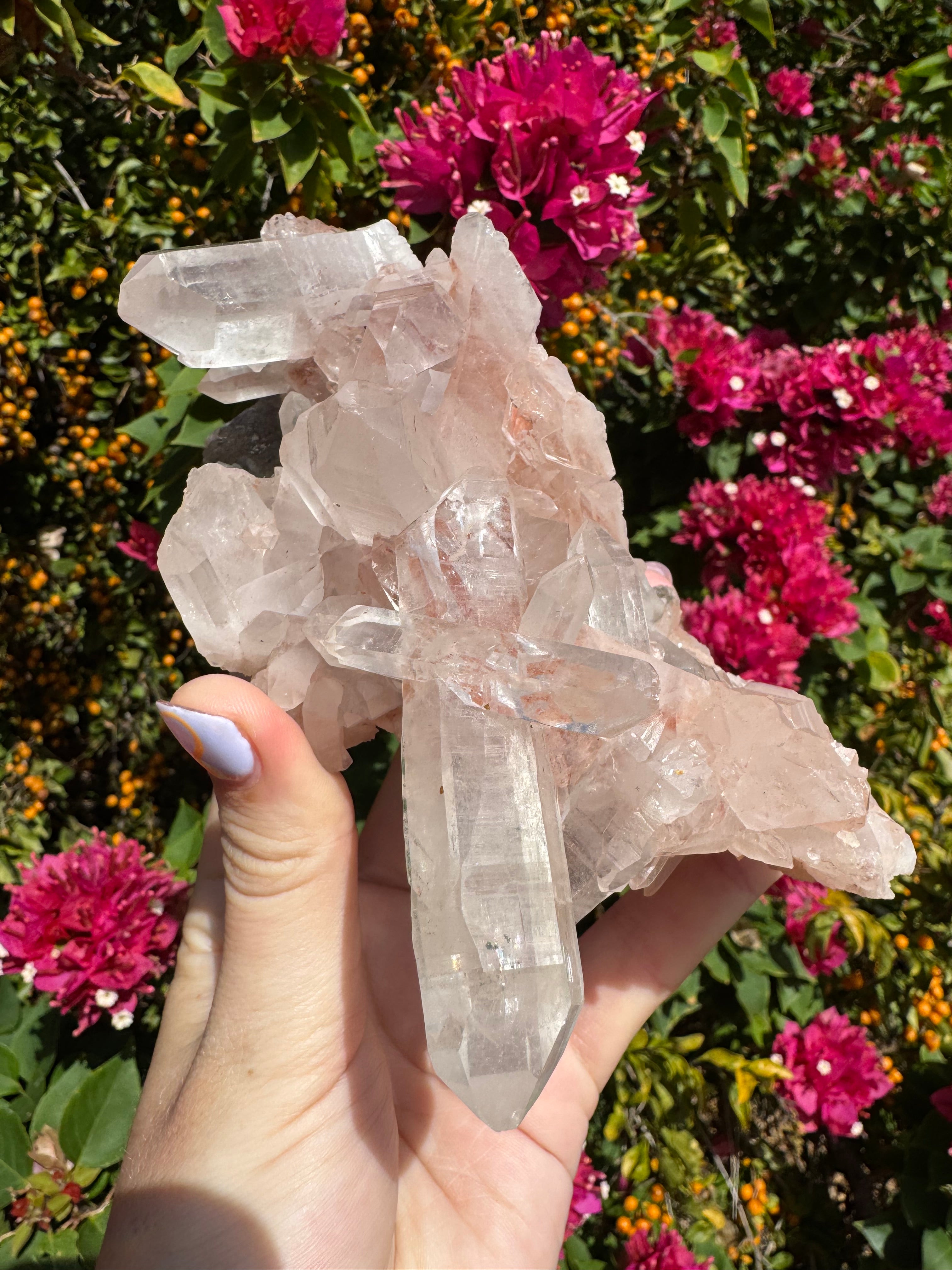 Pink Himalayan Samadhi Quartz Cluster