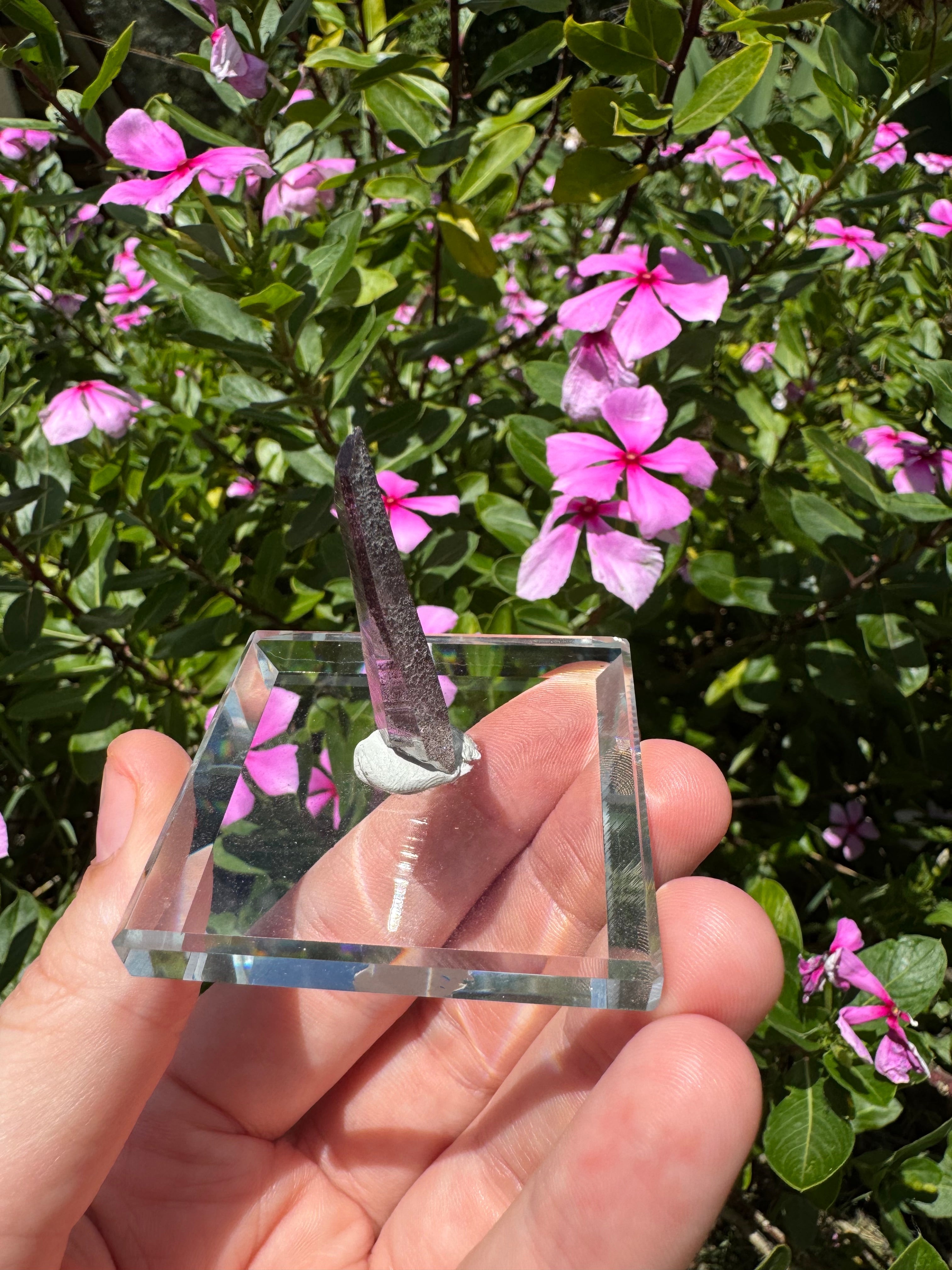 Hematite + Lithium Lasar Quartz Point