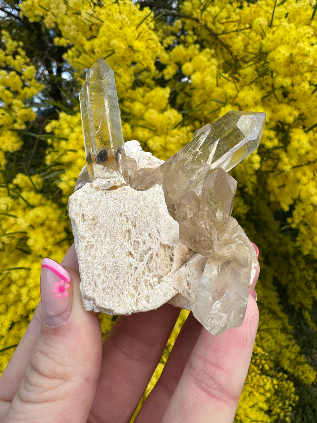 Himalayan Rutile-Included Citrine Quartz Cluster on Matrix