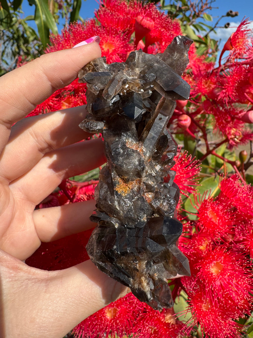 Deep Black Smoky Quartz with Hematite Cluster