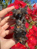 Deep Black Smoky Quartz with Hematite Cluster