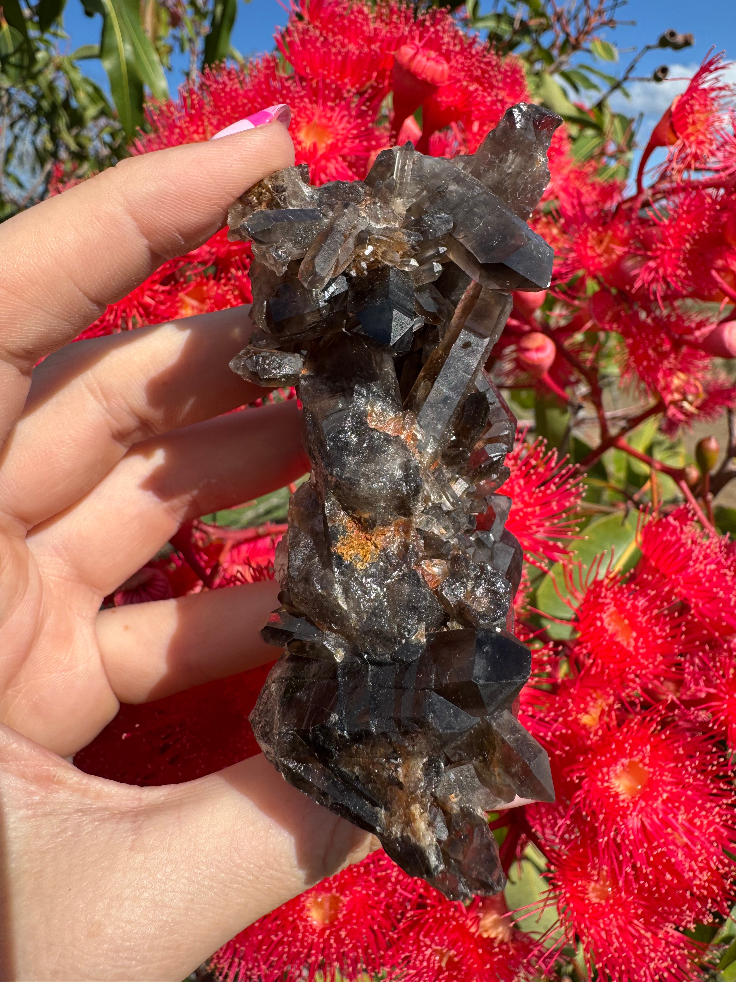 Deep Black Smoky Quartz with Hematite Cluster